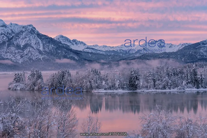 : Dawn and sunrise at the wintry Forggensee in a snow-covered winter landscape in the foothills of the Alps : Dawn and sunrise at the wintry Forggensee in a snow-covered winter landscape in the foothills of the Alps