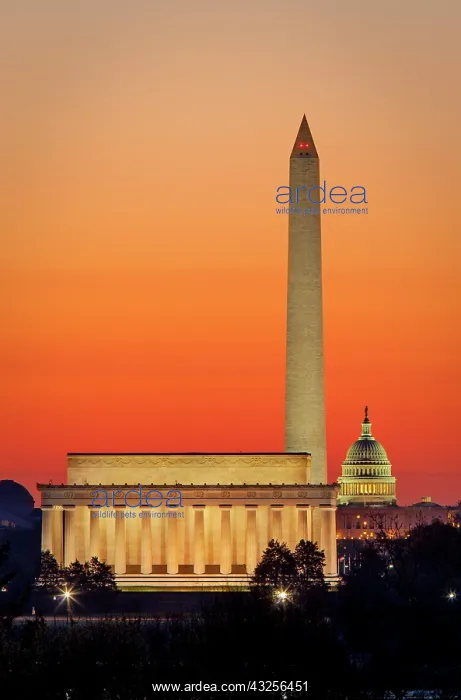 : Dawn over Washington DC, USA : Dawn over Washington DC, USA