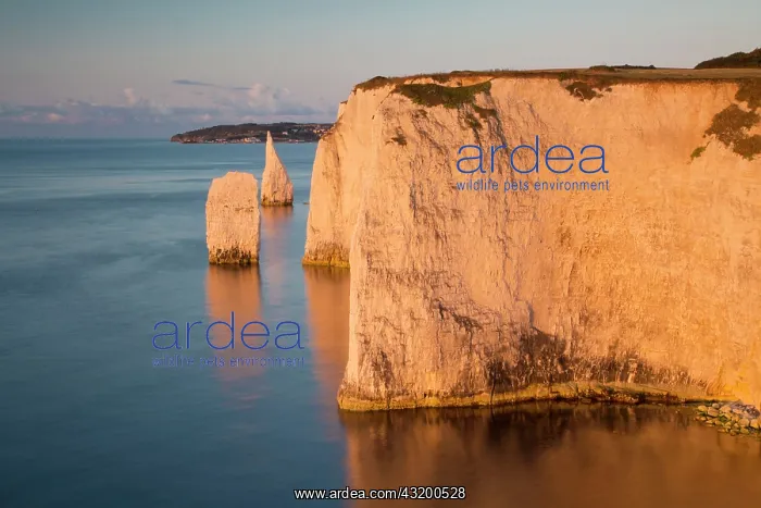: Dawn at the white cliffs and Harry Rocks at Studland : Dawn at the white cliffs and Harry Rocks at Studland