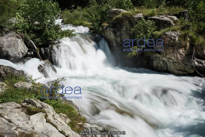 : Daylight long exposure stream lanscape, Piedmont : Daylight long exposure stream lanscape, Piedmont