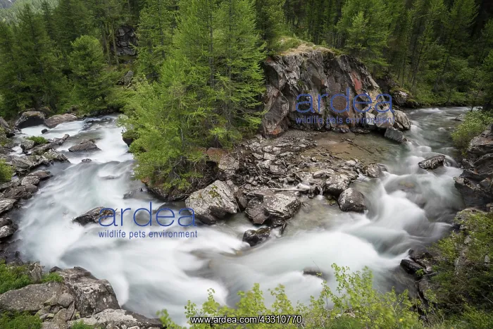 : Detail of daylight long exposure of stream near : Detail of daylight long exposure of stream near