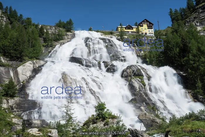 : Daylight long exposure of Toce waterfall in Val : Daylight long exposure of Toce waterfall in Val