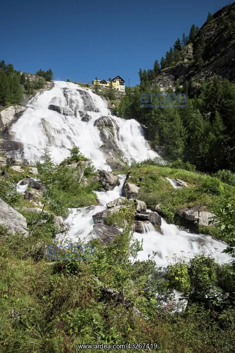 : Daylight long exposure of Toce waterfall in Val : Daylight long exposure of Toce waterfall in Val