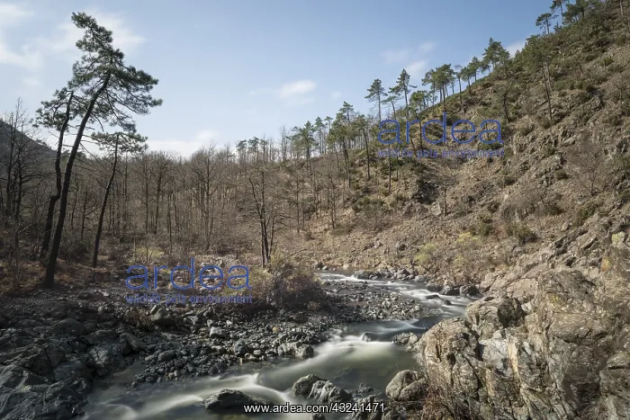 : Daylight long exsposure stream lanscape, Beigua Geopark : Daylight long exsposure stream lanscape, Beigua Geopark