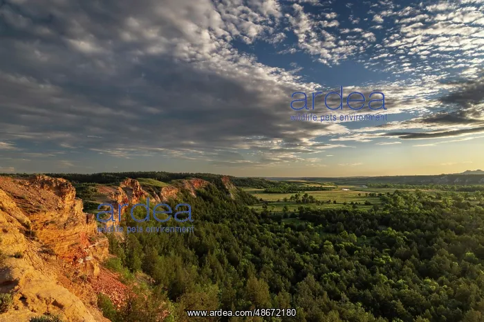 : Days last light on the red cliffs of the Little Missouri : Days last light on the red cliffs of the Little Missouri