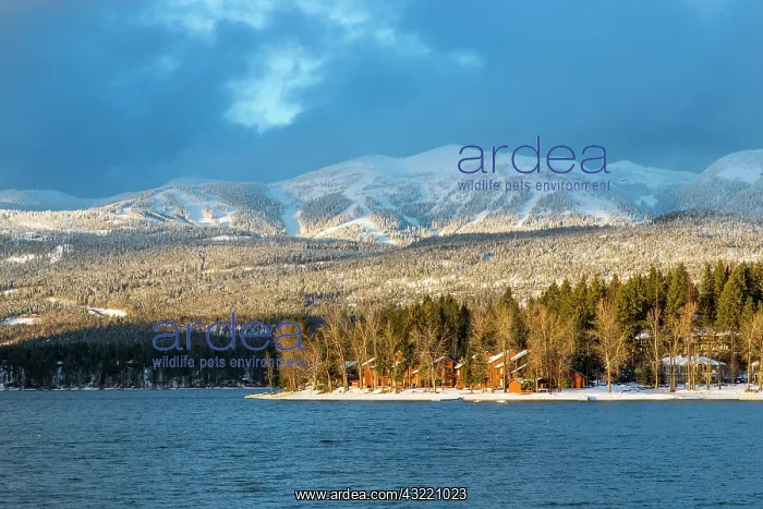 : Days last light shines on ski runs of Whitefish : Days last light shines on ski runs of Whitefish