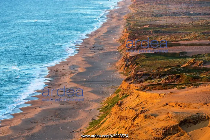 : Days last light strikes the sandy shore : Days last light strikes the sandy shore