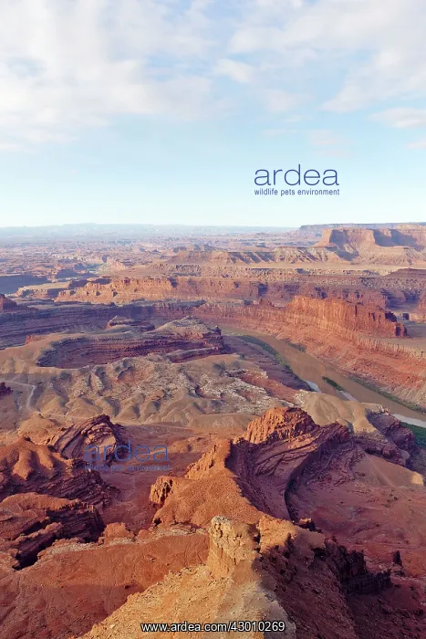 : Dead Horse Point : Dead Horse Point