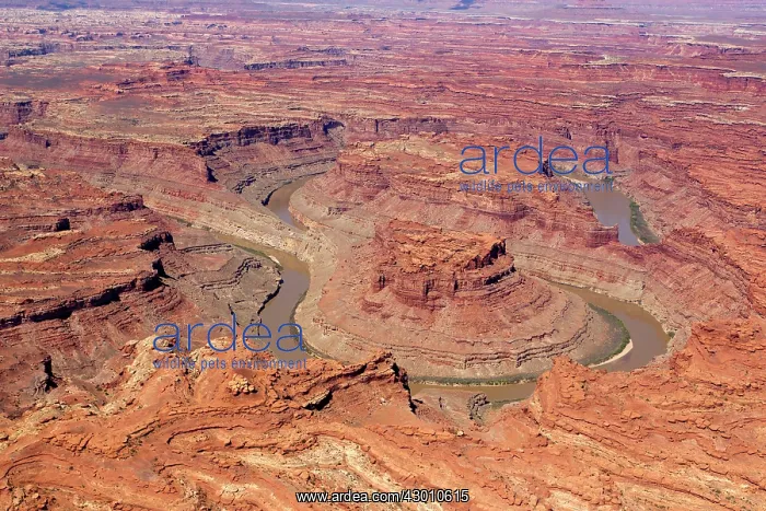 : Dead Horse Point : Dead Horse Point