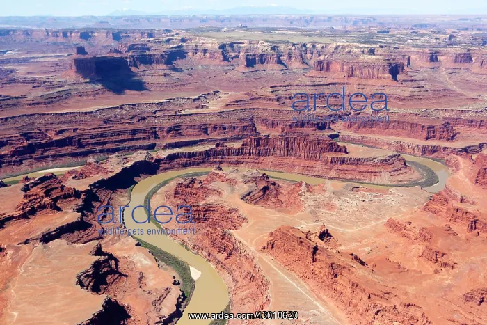 : Dead Horse Point : Dead Horse Point