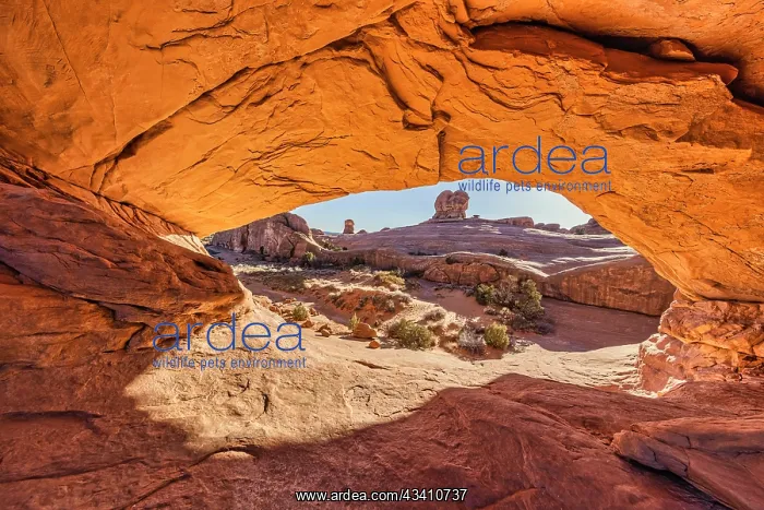 : Dead Horse Point, Canyonlands National Park, Utah : Dead Horse Point, Canyonlands National Park, Utah
