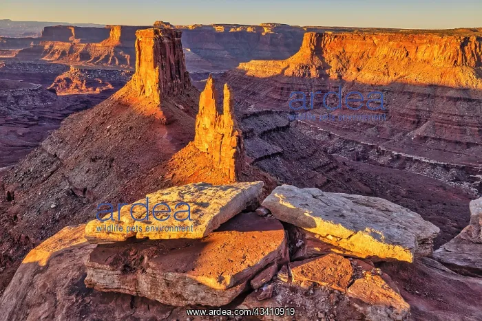 : Dead Horse Point, Canyonlands National Park, Utah : Dead Horse Point, Canyonlands National Park, Utah