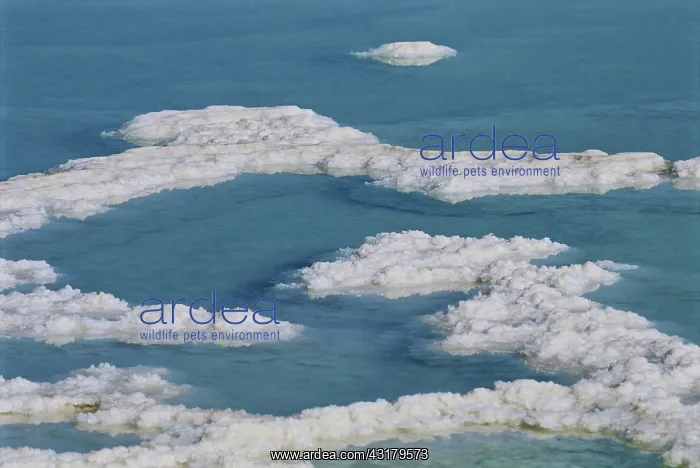 : Dead Sea. Salt at the Dead Sea, Israel : Dead Sea. Salt at the Dead Sea, Israel