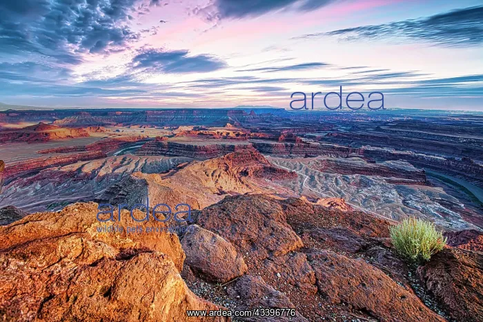 : Deadhorse Point State Park in Utah overlooking the : Deadhorse Point State Park in Utah overlooking the