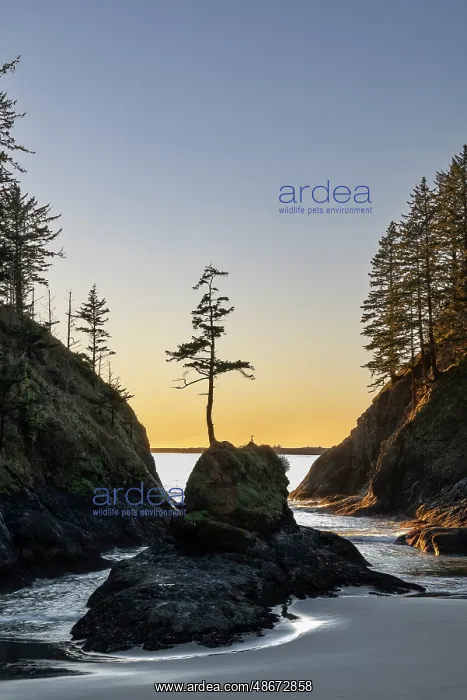  : Deadman's Cove at Cape Disappointment State Park in