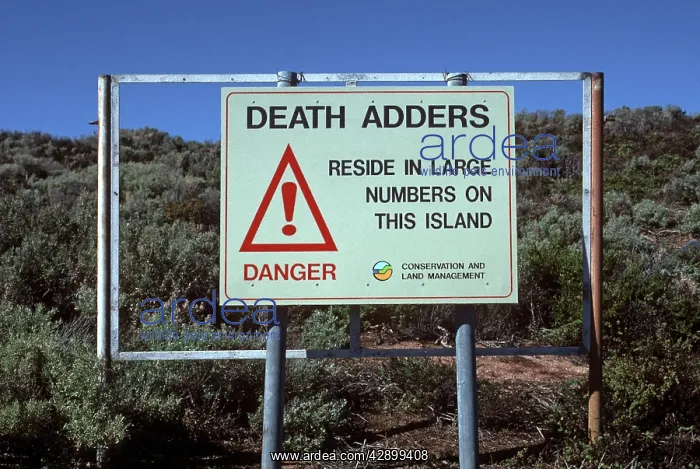 : Death ADDER sign - Snake warning : Death ADDER sign - Snake warning