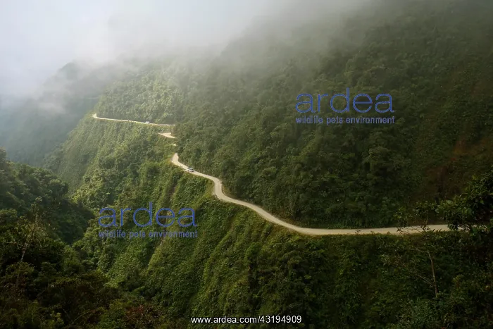 : Death Road, meanders through subtropical rainforest : Death Road, meanders through subtropical rainforest