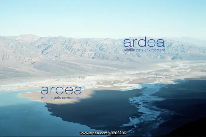  : DEATH VALLEY - Badwater Valley, from Dante's View