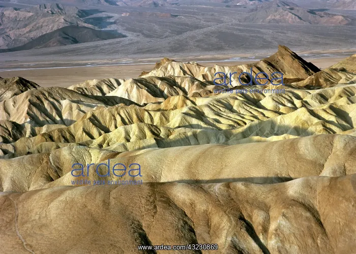 : Death Valley in California, USA, North America : Death Valley in California, USA, North America