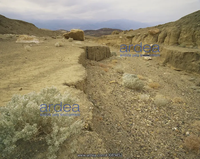 : Death Valley Dry Wash : Death Valley Dry Wash