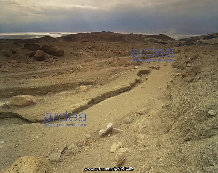 : Death Valley Dry Wash : Death Valley Dry Wash