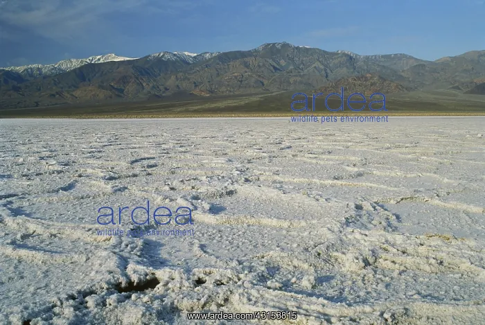 : Death Valley Salt Pan : Death Valley Salt Pan