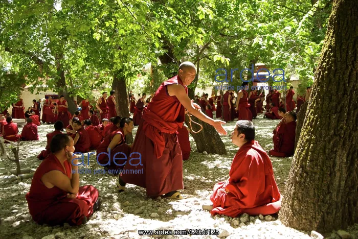 : Debating Monks : Debating Monks
