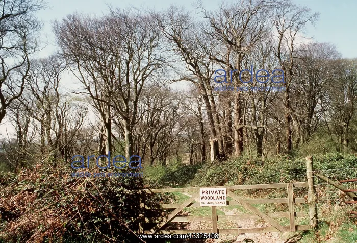 : DECIDUOUS WOODLAND - with Keep out notice on gate : DECIDUOUS WOODLAND - with Keep out notice on gate