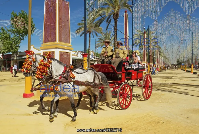: Decorated Horses and Coachmen : Decorated Horses and Coachmen