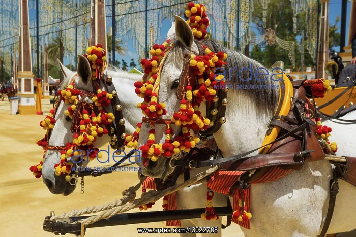 : Decorated Horses - at the Feria del Caballo (Horse Fair) : Decorated Horses - at the Feria del Caballo (Horse Fair)