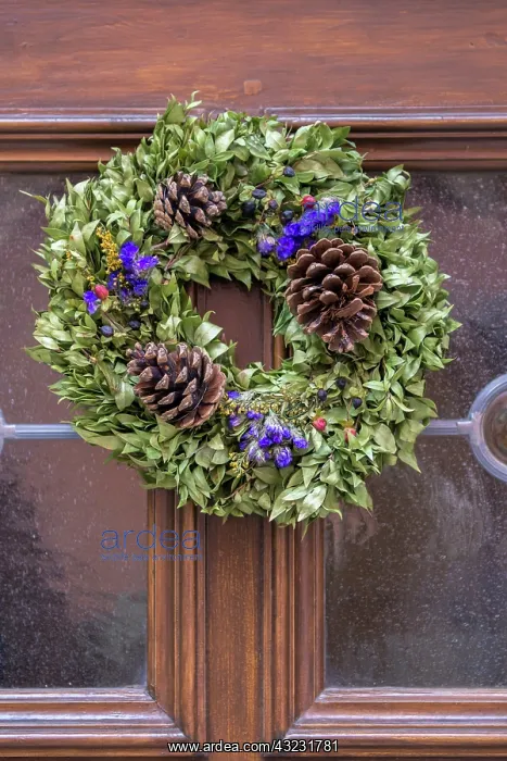 : Decorative holiday wreath on front door : Decorative holiday wreath on front door