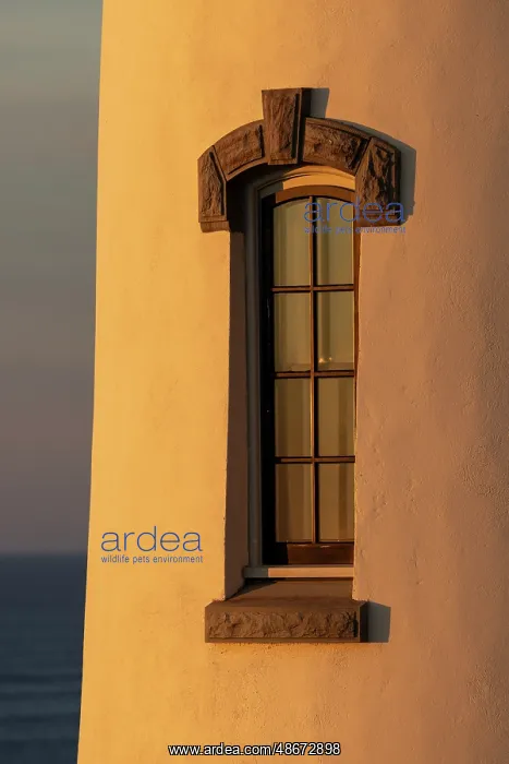 : Decorative window at North Head Lighthouse at Cape : Decorative window at North Head Lighthouse at Cape