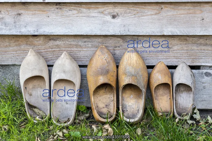 : Decorative wooden clogs in a garden : Decorative wooden clogs in a garden