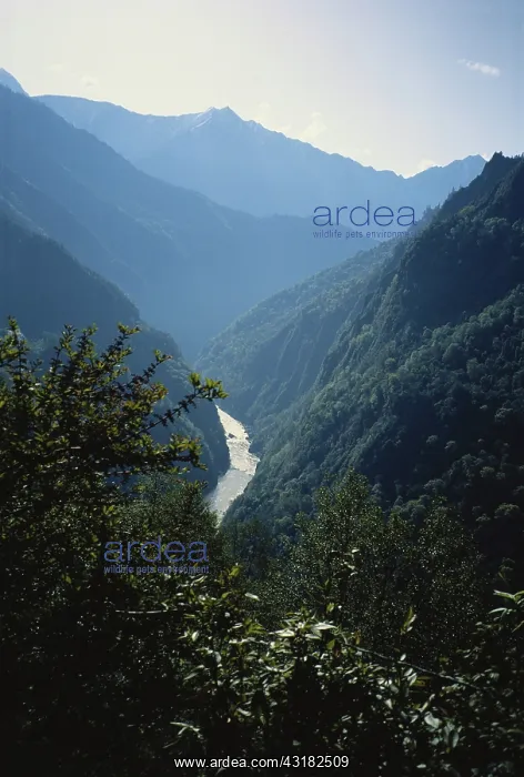 : Deep Gorge in Eastern Tibet : Deep Gorge in Eastern Tibet