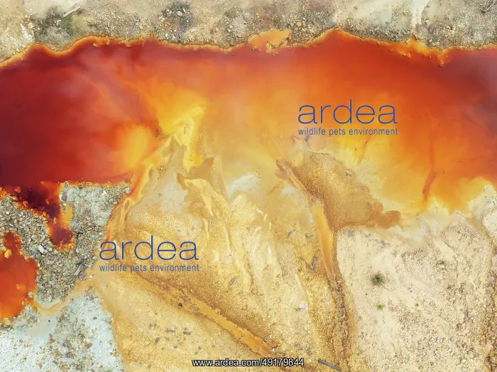 : Deep orange-red hues in the water of a pool in the mineral-rich area of the Rio Tinto mines : Deep orange-red hues in the water of a pool in the mineral-rich area of the Rio Tinto mines