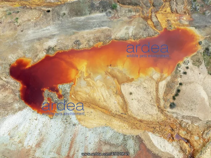 : Deep orange-red hues in the water of a pool in the mineral-rich area of the Rio Tinto mines : Deep orange-red hues in the water of a pool in the mineral-rich area of the Rio Tinto mines