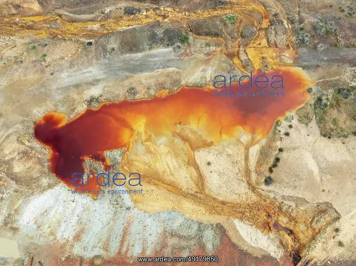 : Deep orange-red hues in the water of a pool in the mineral-rich area of the Rio Tinto mines : Deep orange-red hues in the water of a pool in the mineral-rich area of the Rio Tinto mines