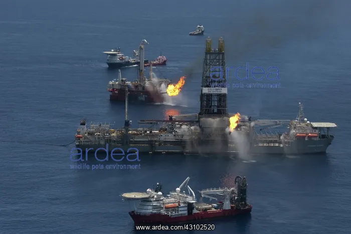 : Deepwater Horizon Oil Spill : Deepwater Horizon Oil Spill