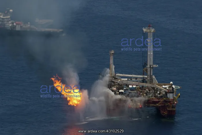 : Deepwater Horizon Oil Spill : Deepwater Horizon Oil Spill
