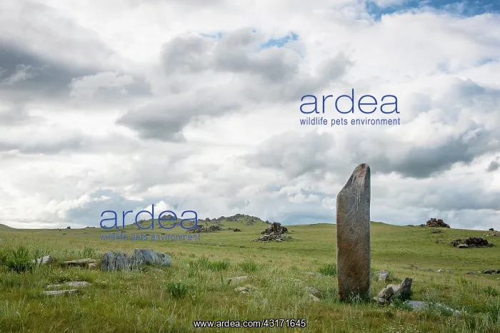 : Deer stones (thousand years before our era, nomadic : Deer stones (thousand years before our era, nomadic