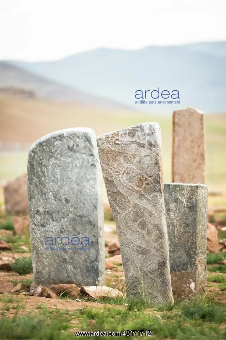 : Deer stones, Ulaan Uushig site - Mongolia : Deer stones, Ulaan Uushig site - Mongolia