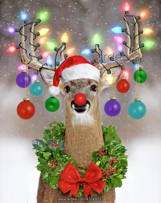 : Deer - in winter snow with Christmas lights, baubles, holly wreath, bow : Deer - in winter snow with Christmas lights, baubles, holly wreath, bow