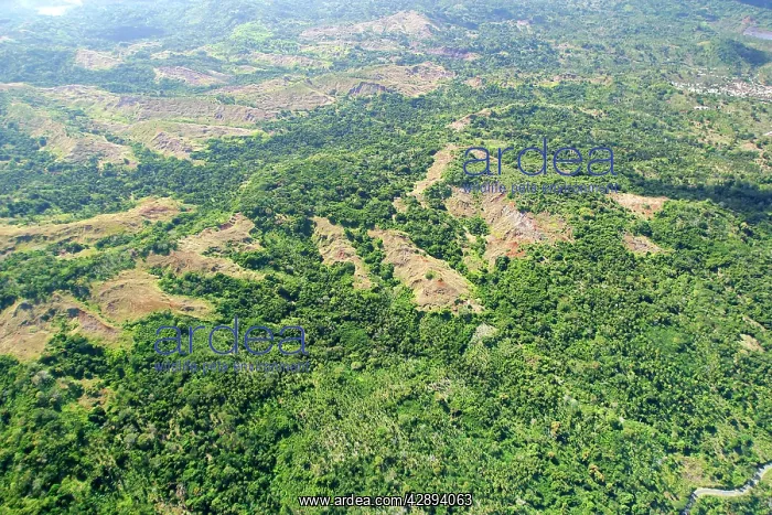 : Deforestation : Deforestation