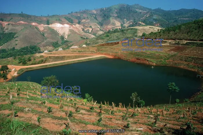 : DEFORESTATION - destruction of Tropical Forests : DEFORESTATION - destruction of Tropical Forests