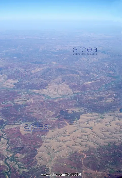 : Deforestation and erosion in Madagascar : Deforestation and erosion in Madagascar