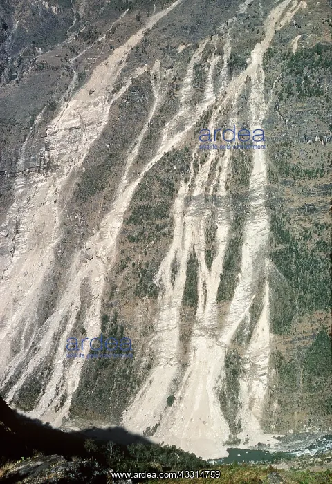  : DEFORESTATION, Nepal - These landslides cont. for