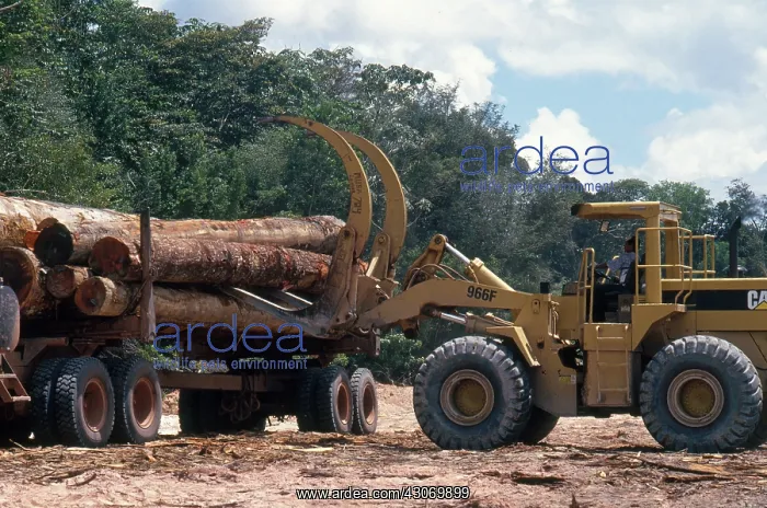 : Deforestation in Suriname : Deforestation in Suriname