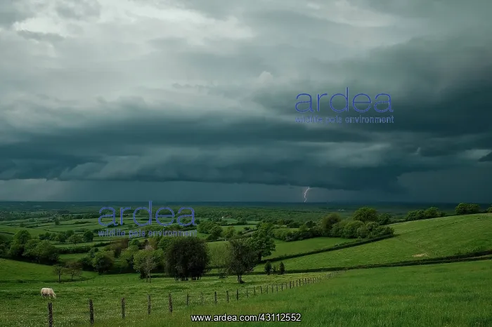 : Degradation stormy in the Morvan 26 April 2015 : Degradation stormy in the Morvan 26 April 2015