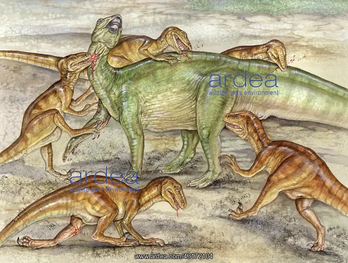 : Deinonychus attack scene : Deinonychus attack scene