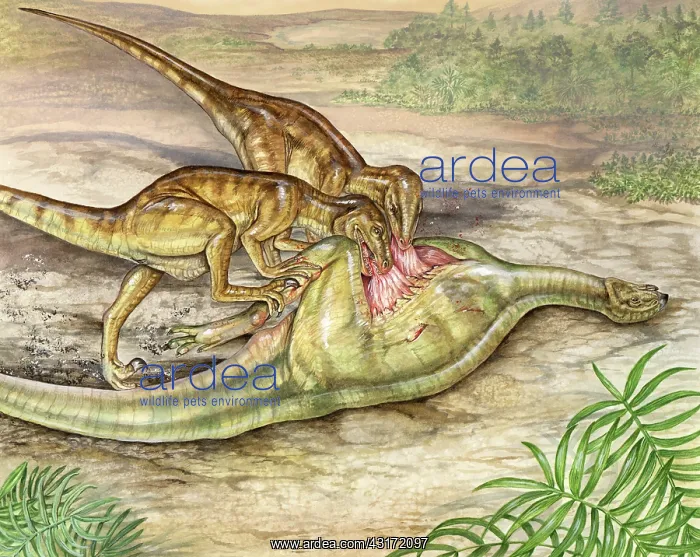 : Deinonychus dinner : Deinonychus dinner